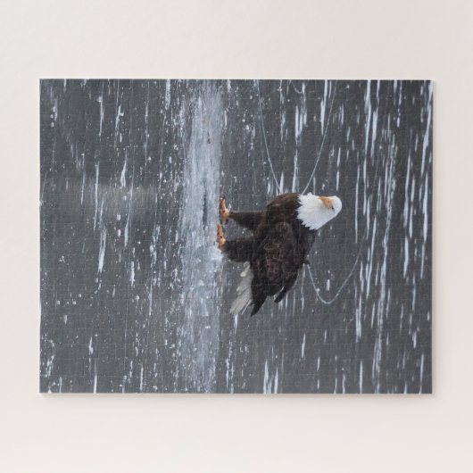 ウォーターズ凍っていイーグルパズル ジグソーパズル (横)