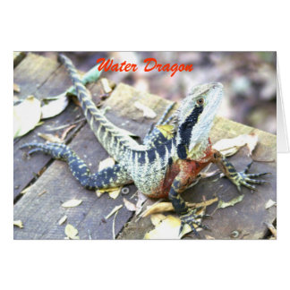 ウォータードラゴン属