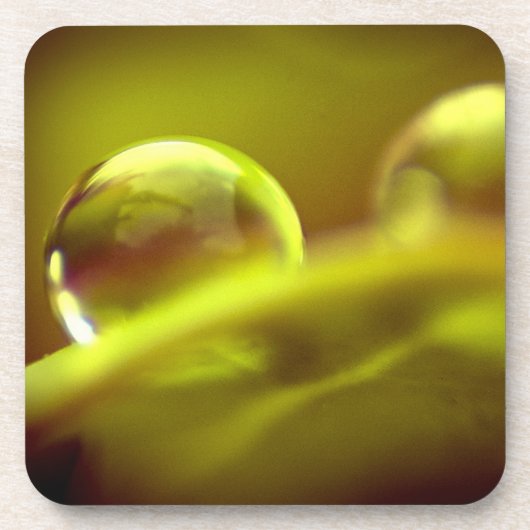 ウォータードロップコルクコースター コースター (正面)