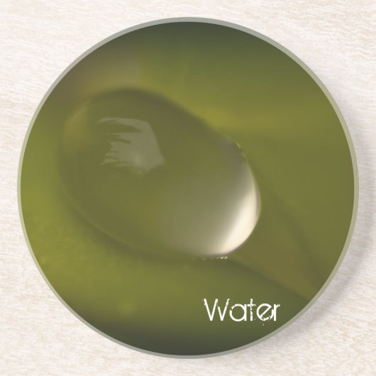 ウォータードロップコースター2 コースター (正面)