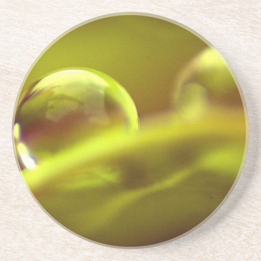 ウォータードロップコースター コースター (正面)