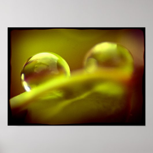 ウォータードロップポスター ポスター (正面)