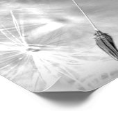 ウォータードロップ写真ウォールアート付きタンポポ種子 ポスター (角)