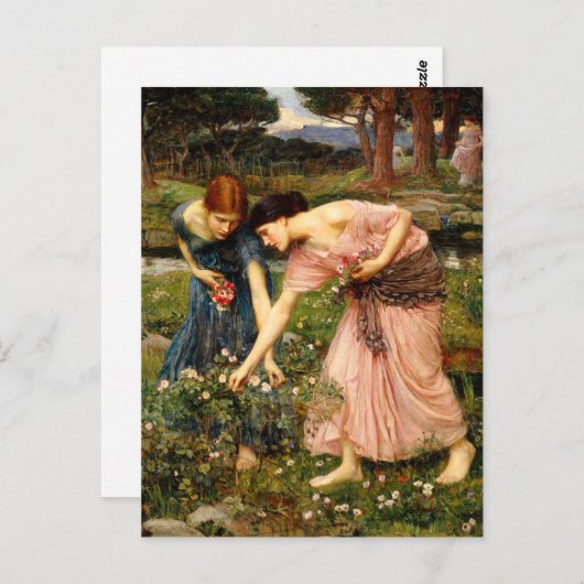 ウォーターハウスギャザーイエローズブズポストカード ポストカード (正面/裏面)