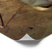 ウォーターハウスザ魔法サークルポスター ポスター (角)