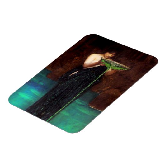 ウォーターハウスシルチェインヴィディオサマグネット マグネット (左側)