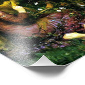 ウォーターハウスビューティフルウーマンウィズウィズ慈悲プリント フォトプリント (角)