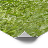 ウォーターバグズアットローレルヒル州パーク ポスター (角)