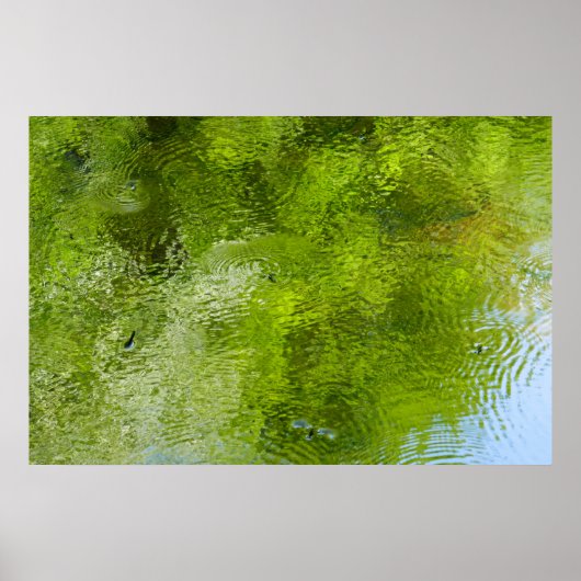 ウォーターバグズアットローレルヒル州パーク ポスター (正面)