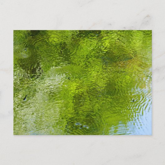 ウォーターバグズアットローレルヒル州パーク ポストカード (正面)