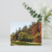 ウォーターフォールとトレイル、ホット春、サウスダコタ ポストカード (スタンド正面)