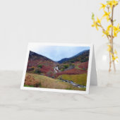 ウォーターフォールのスノードニア，ウェールズ カード (黄色い花)