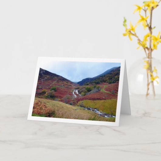 ウォーターフォールのスノードニア，ウェールズ カード (黄色い花)