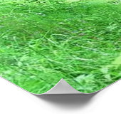 ウォーターフォールのポスター ポスター (角)