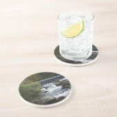 ウォーターフォールアットバナーエルク、NCコースター コースター (側面)