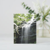 ウォーターフォールアットファーンクリフ州パーク ポストカード (スタンド正面)