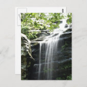 ウォーターフォールアットファーンクリフ州パーク ポストカード (正面/裏面)