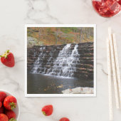 ウォーターフォールアットローレルヒル州パークI スタンダードランチョンナプキン (インサイチュ)