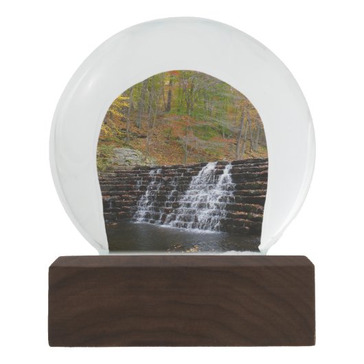 ウォーターフォールアットローレルヒル州パークI スノーグローブ (正面)
