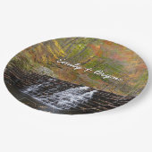 ウォーターフォールアットローレルヒル州パークI ペーパープレート (アングル)