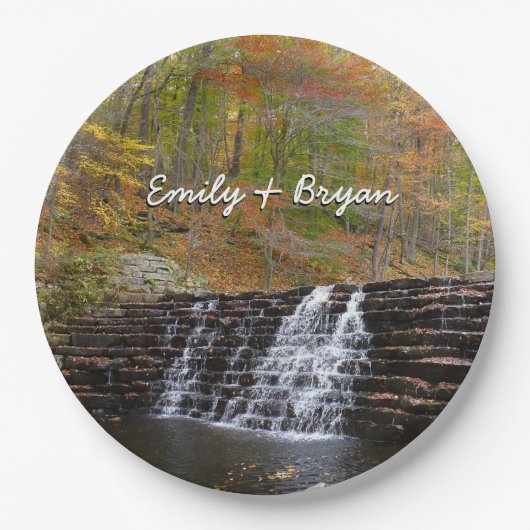 ウォーターフォールアットローレルヒル州パークI ペーパープレート (正面)