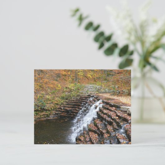 ウォーターフォールアットローレルヒル州パークII (スタンド正面)