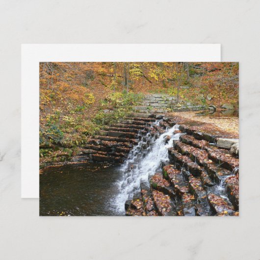 ウォーターフォールアットローレルヒル州パークII (正面/裏面)