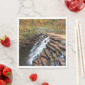 ウォーターフォールアットローレルヒル州パークII スタンダードランチョンナプキン (インサイチュ)