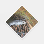 ウォーターフォールアットローレルヒル州パークII スタンダードランチョンナプキン (角)