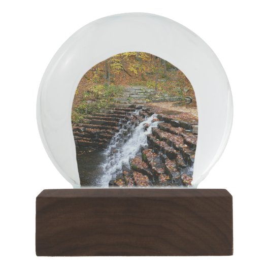 ウォーターフォールアットローレルヒル州パークII スノーグローブ (正面)