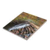 ウォーターフォールアットローレルヒル州パークII タイル (側面)