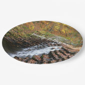 ウォーターフォールアットローレルヒル州パークII ペーパープレート (アングル)