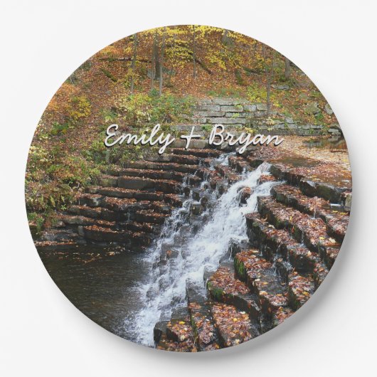 ウォーターフォールアットローレルヒル州パークII ペーパープレート (正面)