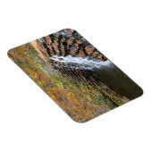 ウォーターフォールアットローレルヒル州パークII マグネット (右側)