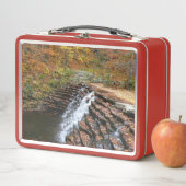 ウォーターフォールアットローレルヒル州パークII メタルランチボックス (インサイチュ)