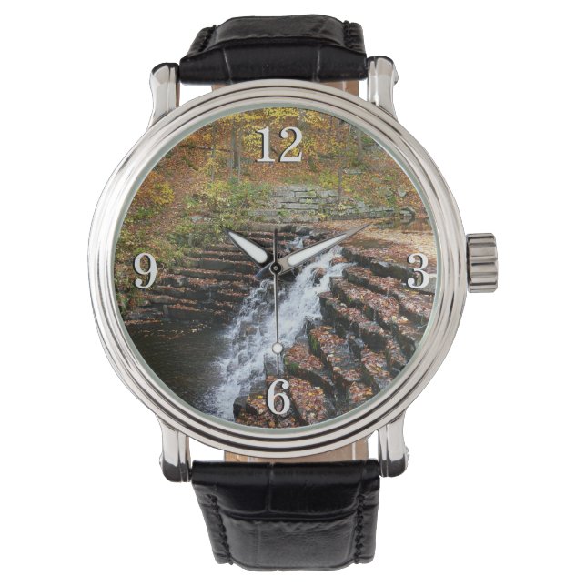 ウォーターフォールアットローレルヒル州パークII 腕時計 (正面)