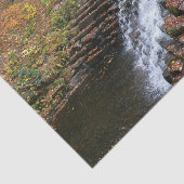 ウォーターフォールアットローレルヒル州パークII 薄葉紙 (詳細)