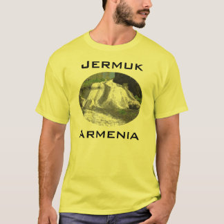 ウォーターフォールインエルムクアルメニア Tシャツ