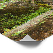 ウォーターフォールキュー庭園 ポスター (角)