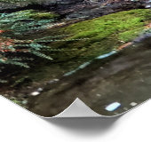 ウォーターフォールドヴァンデュセンボタニックガーデンバンクーバー ポスター (角)