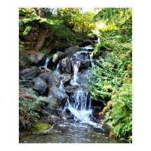 ウォーターフォールドヴァンデュセンボタニックガーデンバンクーバー