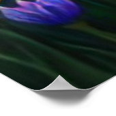 *~ウォーターフォールビューティフAP56女性池花 ポスター (角)