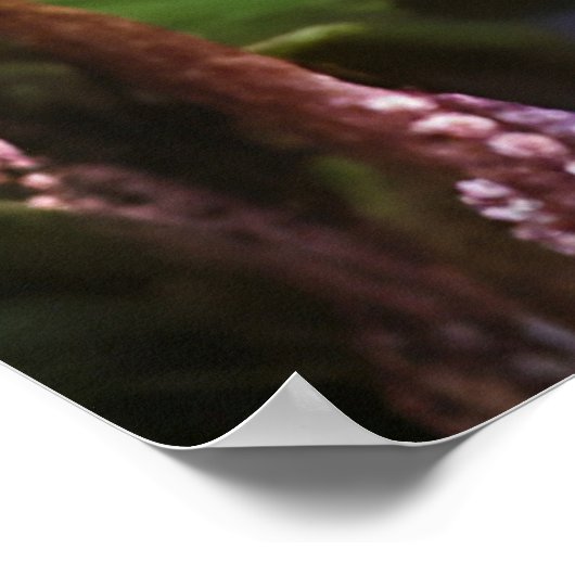 ウォーターフォールマウンテンバレー ポスター (角)