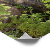 ウォーターフォール山レイニエ国立公園 ポスター (角)