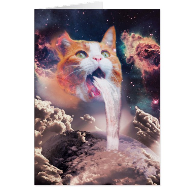 ウォーターフォール猫 (正面)