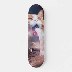ウォーターフォール猫 スケートボード