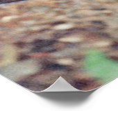 ウォーターフォール聖なる書物、 経典 ポスター (角)