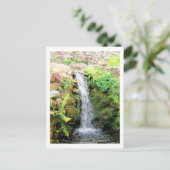 ウォーターフォール6ベネズエラのジャングルランドスケープファインアート ポストカード (スタンド正面)