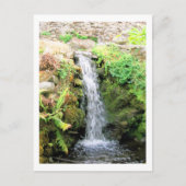 ウォーターフォール6ベネズエラのジャングルランドスケープファインアート ポストカード (正面)