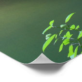 ウォーターフォール・ウッズポスター ポスター (角)